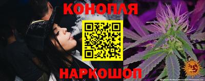 прущие грибы Комсомольск-на-Амуре