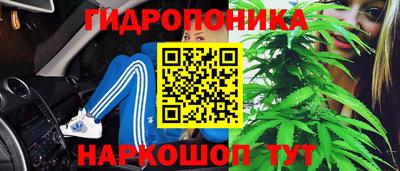 прущие грибы Комсомольск-на-Амуре